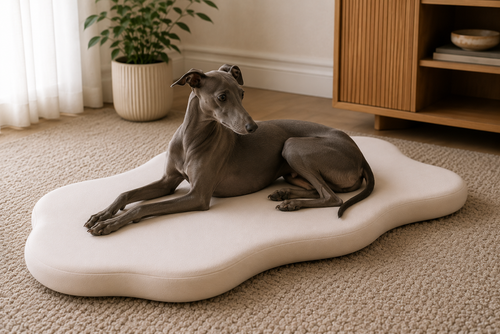 Orthopedic Dog Bed