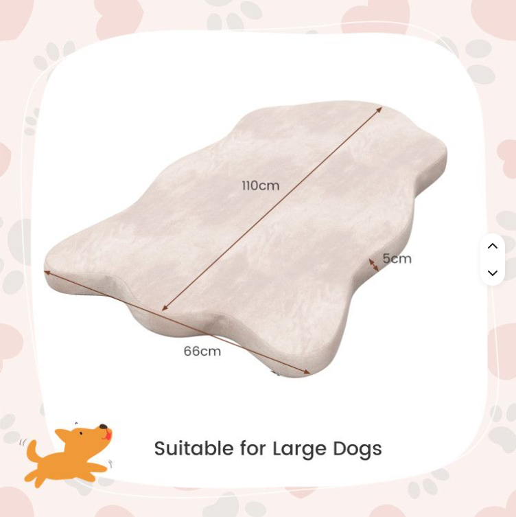 Orthopedic Dog Bed